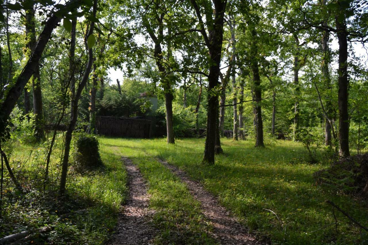 Ferme De Mouline Villa Sainte-Foy-la-Longue Exteriör bild